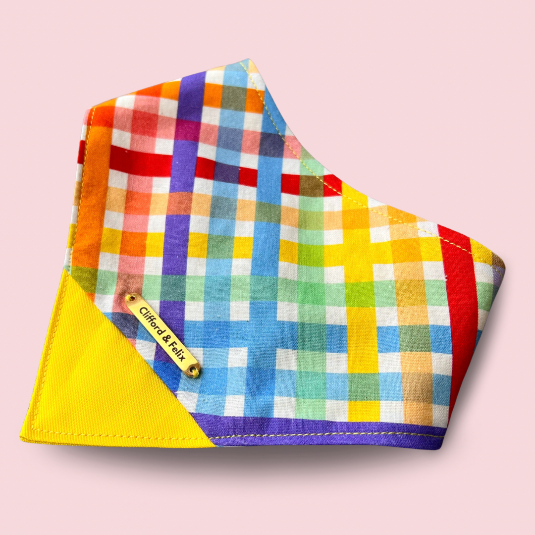 Rainbow Gingham